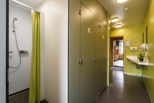 因特拉肯Chalet Hostel @ Backpackers Villa Interlaken的浴室拥有绿色和白色的墙壁,设有步入式淋浴间。