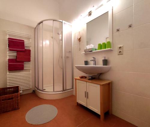 SchottwienVilla Petterhof的一间带水槽和淋浴的浴室
