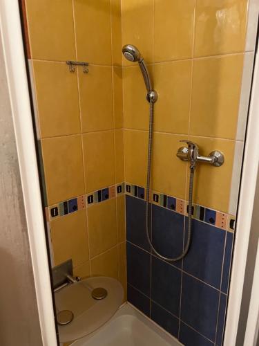 KošťálovPřízemí rodinného domu的一间带卫生间和淋浴的小浴室