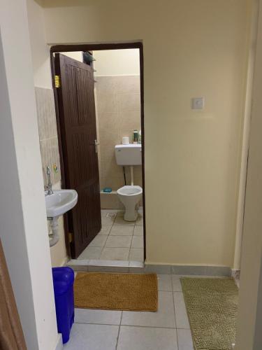 蒙巴萨Mtwapa Apartment的一间带卫生间和水槽的浴室