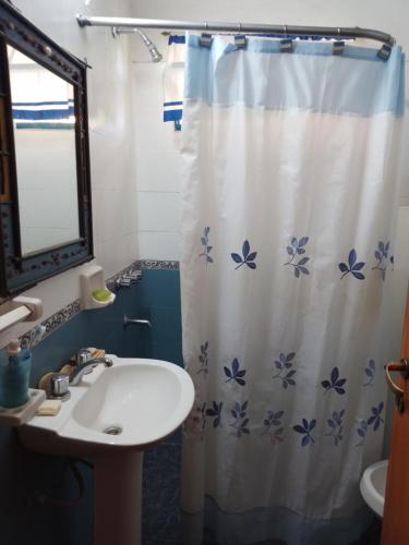 拉博尔萨La Guarida的一间带水槽和淋浴帘的浴室