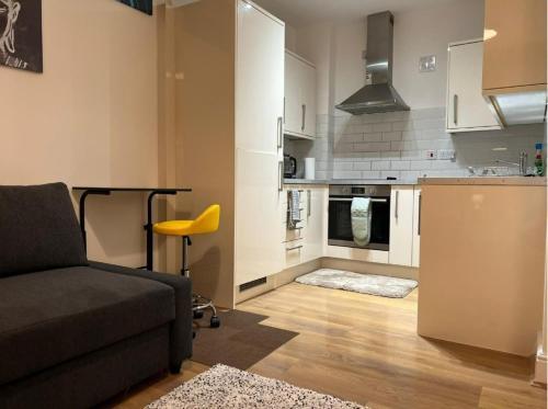 巴尔金Modern and Stylish 1bed flat的带沙发的客厅和厨房