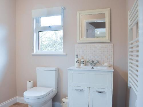 斯泰兹Pheasant Lodge的一间带卫生间、水槽和镜子的浴室