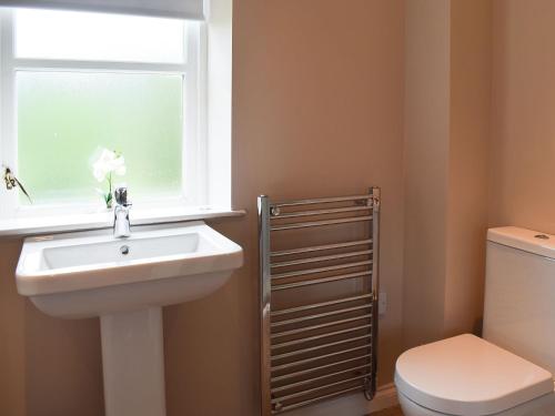 阿伯福伊尔Forth View-uk34217的一间带水槽和卫生间的浴室以及窗户。
