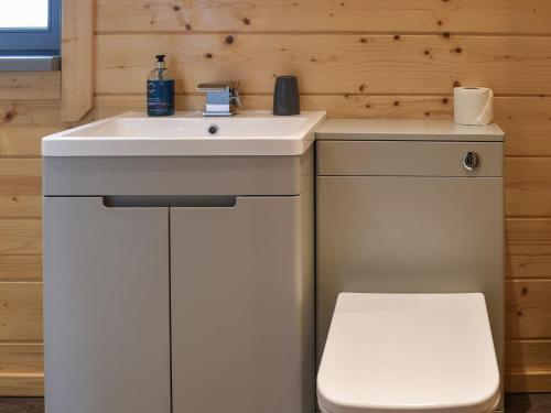 Lindal in FurnessPine Lodge - Uk30007的一间带水槽和卫生间的浴室