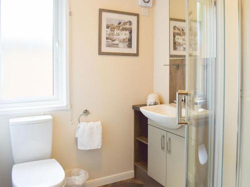 奥赫特拉德Riverside Lodge的一间带卫生间和水槽的浴室