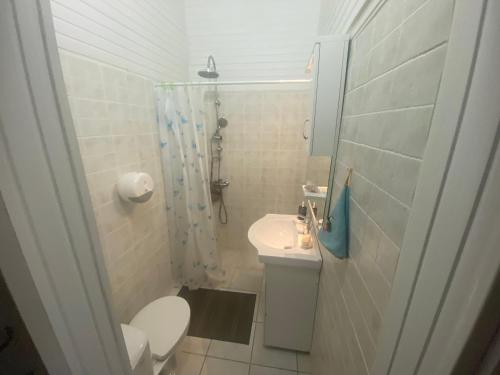大博格Chez Tata et Didi的浴室配有卫生间、淋浴和盥洗盆。