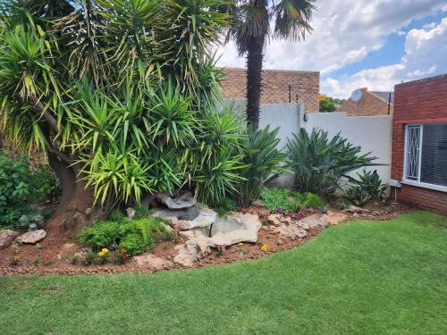 布隆方丹SiBella guest house的庭院里种有棕榈树和鲜花的花园