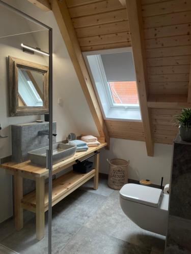 森夫滕贝格SEENLANDHOF的一间带水槽和卫生间的浴室以及窗户。