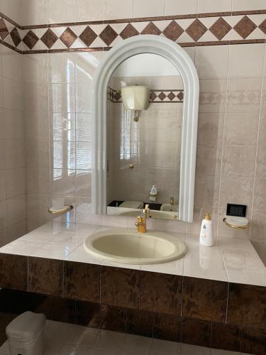 桑格罗堡Casa Simo Apartment的一间带水槽和镜子的浴室