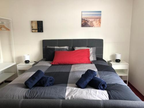 萨斯费Near ski slopes 2 bedrooms apartment with balcony的一间卧室配有一张带红色枕头的大床