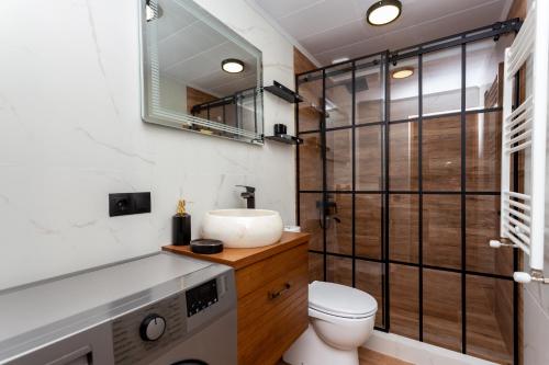 第比利斯Eco house villa jeo的一间带卫生间和水槽的浴室