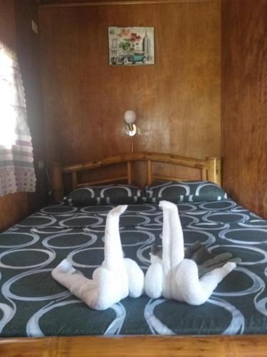 KandabongCasa de Corazon的两个天鹅躺在床上