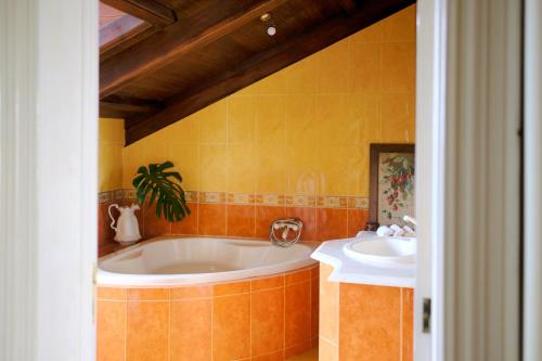 VárzeaVilla Várzea - Charming Suite的带浴缸和两个盥洗盆的浴室
