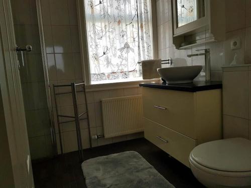 斯蒂克松鲁姆Tanginn的一间带卫生间、水槽和窗户的浴室