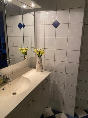 卑尔根Casa la Familia的浴室设有水槽、镜子和鲜花