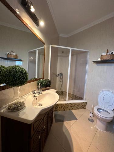 费雷尔Ocean Guesthouse Baleal的一间带水槽、淋浴和卫生间的浴室