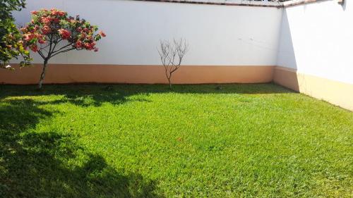 阿拉胡埃拉Mario y Jeannette的绿草成荫的院子和白色的墙壁