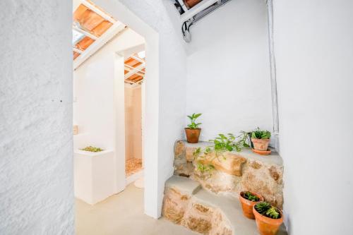 纳扎雷Nativo - Nature Studio with Kitchenette and private external bathroom的石墙中植物的房间