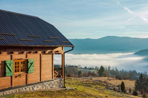 ZaovineTarovuk cabin的一座带屋顶的木屋,位于一座小山上,享有美景