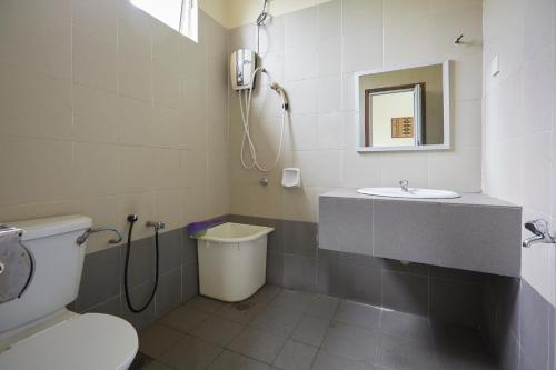 瓜拉丁加奴丁加奴马术度假酒店的一间带卫生间和水槽的浴室