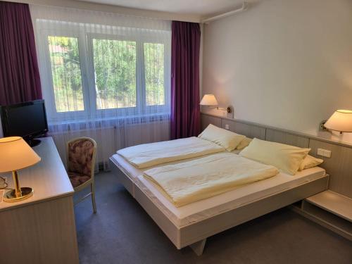 马瑟尔贝格Werrapark Resort Hotel Am Sommerberg的一间卧室配有一张床、一张书桌和一台电视