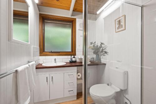 芒特比尤蒂吉瓦山林小屋的一间带卫生间和水槽的浴室
