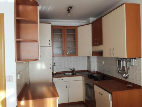 萨格勒布Odmor u Zagrebu的厨房配有白色橱柜、水槽和台面