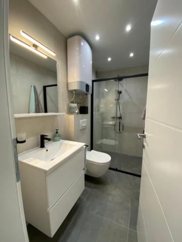 佩罗杰Apartment MM22的浴室配有卫生间、盥洗盆和淋浴。