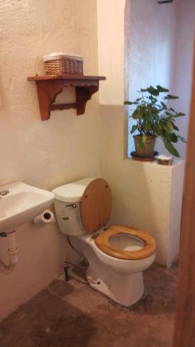 马祖特Casa de Kai Mazunte的一间带卫生间、水槽和植物的浴室