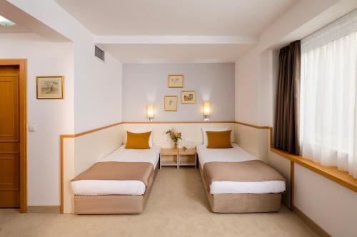 索非亚Arte Sofia Hotel的酒店客房设有两张床和窗户。