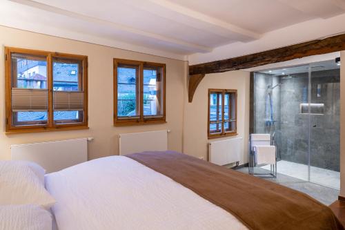 拉恩河畔林堡Goldener Löwe的一间卧室设有一张床和一个玻璃淋浴间