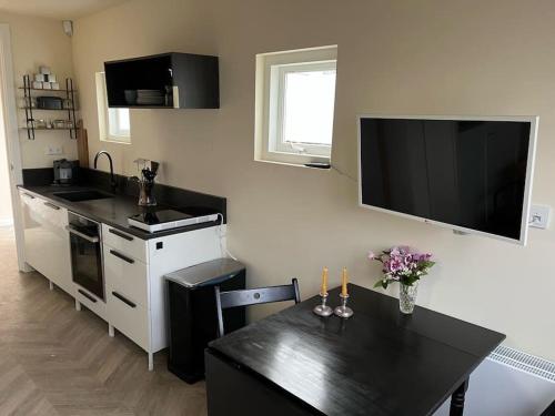 Renovated & private Tinyhouse Den Haag short stay appartment的厨房或小厨房