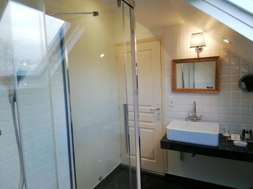 埃佩尔奈厄杰纳别墅酒店的一间带玻璃淋浴和水槽的浴室