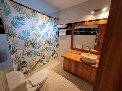 安加罗阿Te Ariki - Adults Only的一间带卫生间、水槽和镜子的浴室