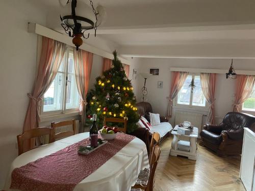 赫鲁巴斯卡拉Roubenka Doubravice的一间客厅,客厅里放着圣诞树