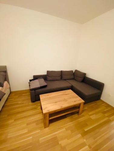 维也纳Nice apartment Hollergasse 22的带沙发和咖啡桌的客厅