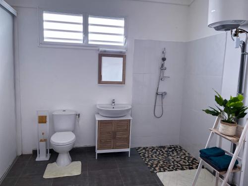 拜马欧T2 Paisible et spacieux的一间带卫生间、水槽和窗户的浴室