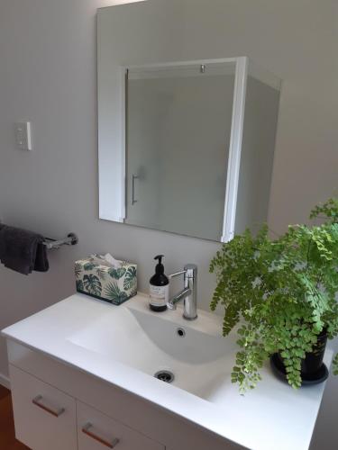 吉斯伯恩The Gisborne Club - Boutique accommodation的浴室水槽,上面有镜子和植物