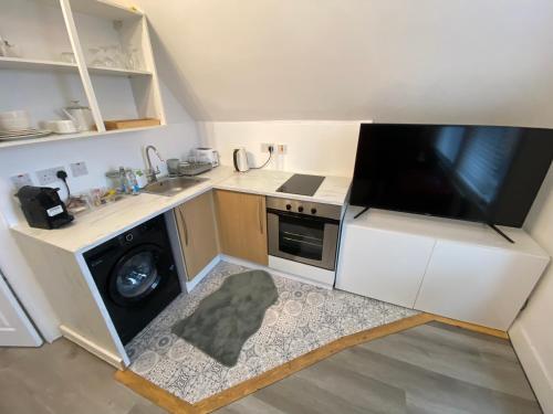 伦敦Cosy flat in London的一个带水槽和洗衣机的小厨房
