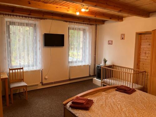 伦布尔克Penzion Restaurace Zátiší的一间卧室配有一张床和一台平面电视