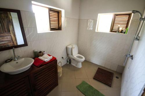 Ushongo MabaoniBaobab Beach Villa, Ushongo Beach, Pangani的一间带水槽和卫生间的浴室以及两个窗户。