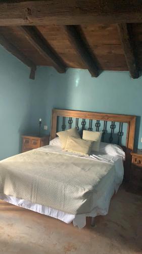 JabaloyasLos Diezmos的一间卧室,在蓝色的墙壁上配有一张大床