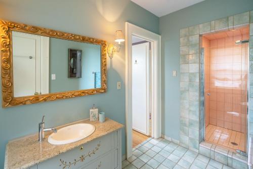 尼亚加拉瀑布Lion's Head B&B的浴室配有盥洗盆和带镜子的淋浴