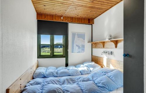 韦斯特维3 Bedroom Beautiful Home In Vestervig的客房配有一张带蓝色枕头的床。