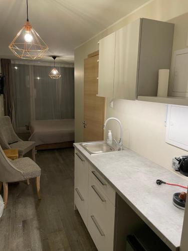派尔努Aisa 39 Apartments的一间带水槽的厨房和一间浴室