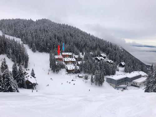莫济列Primorka Golte的一群人沿着雪覆盖的山滑雪
