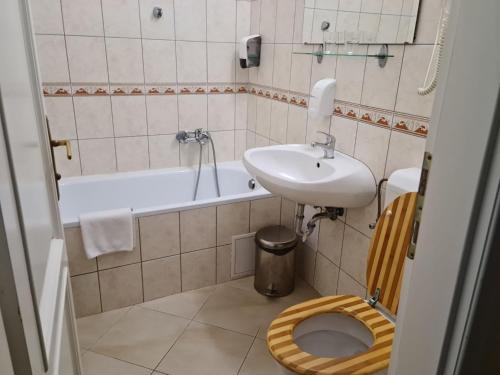 PomázTeleki-Wattay Kastélyszálló的浴室配有盥洗盆、卫生间和浴缸。