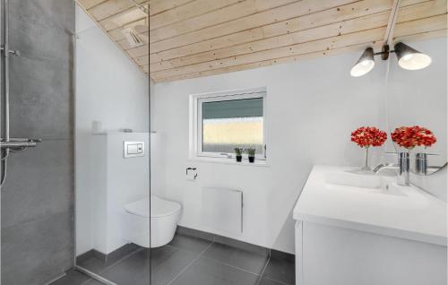 斯劳厄尔瑟Cozy Home In Slagelse With Kitchen的浴室配有卫生间、盥洗盆和淋浴。