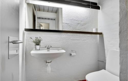 布罗斯特Feriehotel Tranum Klit的白色的浴室设有水槽和卫生间。